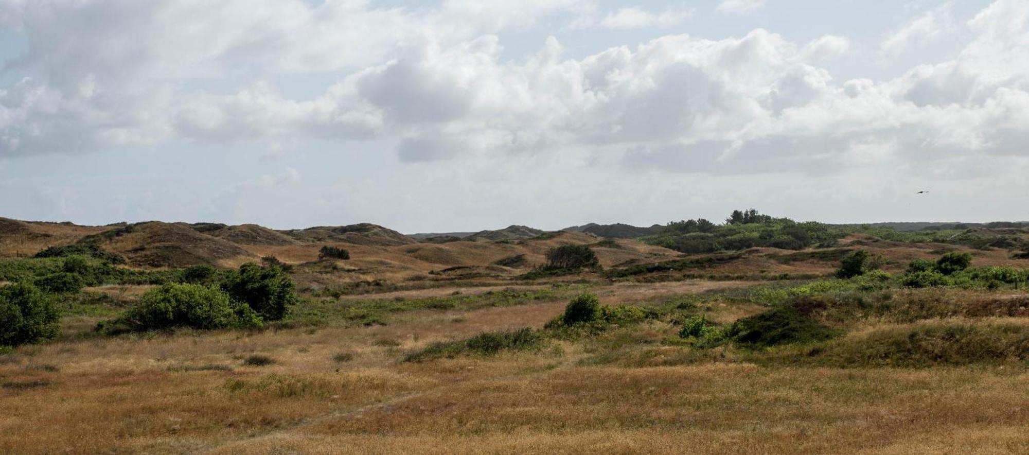 Willa Duenenblick 3 Am Pirolatal Langeoog Zewnętrze zdjęcie