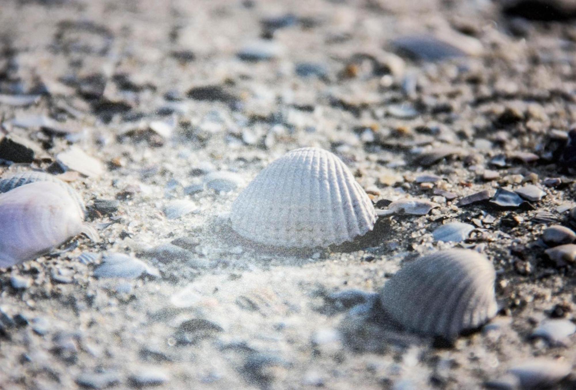 Willa Duenenblick 3 Am Pirolatal Langeoog Zewnętrze zdjęcie